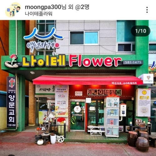 나이테플라워(꽃)